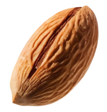 una sola almendra